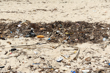 Waste on the sands causes environmental pollution