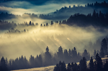 Nebelhafte Waldlandschaft, Panorama der Karpaten in Polen