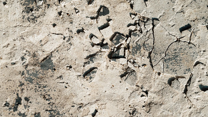 Fototapeta premium Art concrete texture for background in black, grey and white colors.