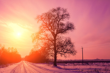 Evening in countryside, road covered with snow at sunset light
