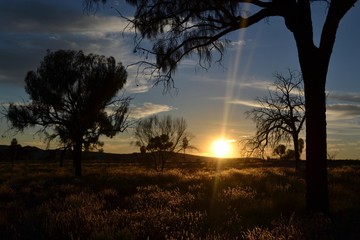 The sunrise in Kings Canyon (Wattarka National Park). Not far from Uluru, Australia