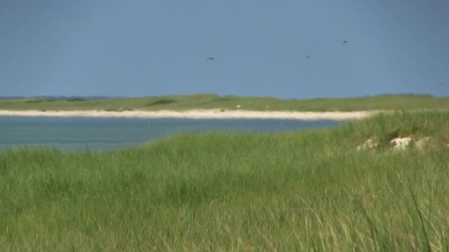 A distant shot of beach coastline over grasslands of south monomoy island Cape Cod.  Heat waves cause atmospheric ripples creating a mirage like appearance