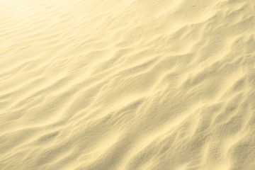Fototapeta na wymiar Golden glitter on blurry sand background