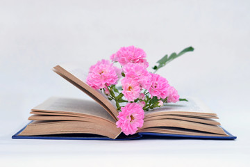 Beautiful pink flowers are in the open book.