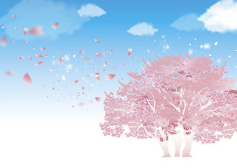 桜の木　青空