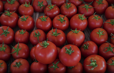Fresh Tomato Vegetable Harvest From Farm