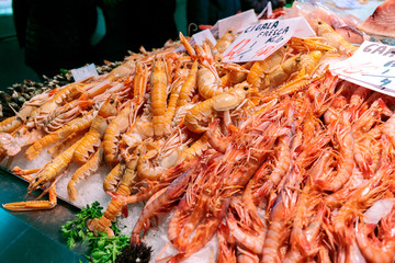 Fresh raw prawns sold at market in Valencia, Spain