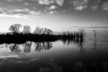 Fototapeta premium Perfect reflection of some trees on water, with moving clouds