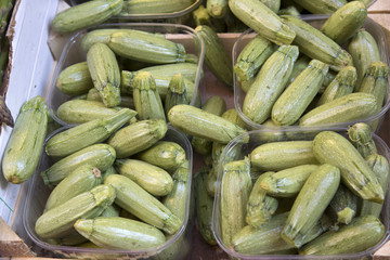 Green Courgette - Zucchini, Street Market, Bologna