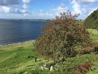 Father and child on a autumn hike in Norway