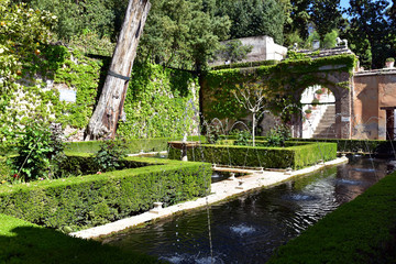 Fototapeta na wymiar Patio de la Acequia at the Generalife garden, La Alhambra palace, Granada, Spain
