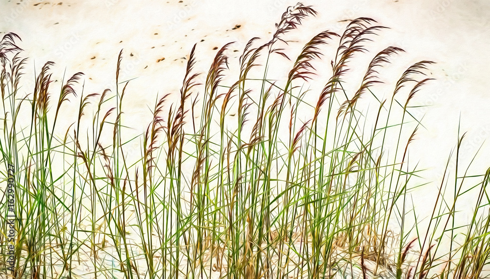 Wall mural blades of grass in the sand. modern oil painting illustration art