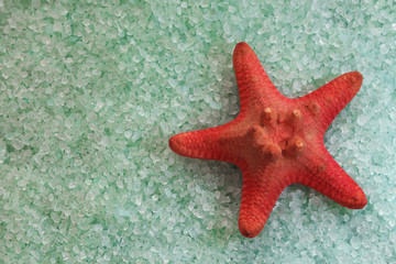 Fototapeta na wymiar Background with green sea salt and sea star, closeup