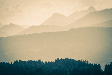 Silhouetted mountain ranges and forests in the Alps. Vintage style.