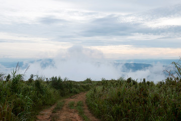 White fog is on a green mountain. In the early morning of the rainy season