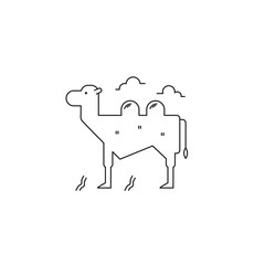 Camel line icon