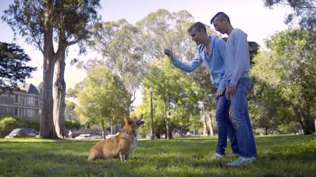 Gay Couple Play Fetch With Their Dog In Neighborhood Park, San Francisco, Owner Tells Dog To Sit, Then Throws Ball For Dog