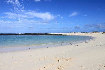 Obraz premium El Cotillo beach lagoon in Fuerteventura, Spain