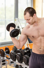 Fototapeta na wymiar bodybuilder man doing biceps exercise with dumbbell in fitness club