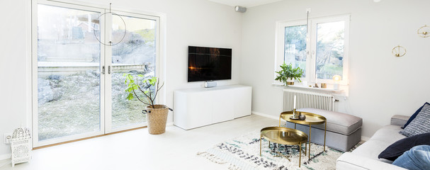panorama of a stylish clean livingroom