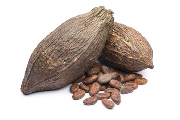 heap of cocoa beans with two cocoa pod on white background