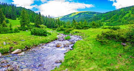 mountain stream flowing through a beautiful mountain valley in summer day