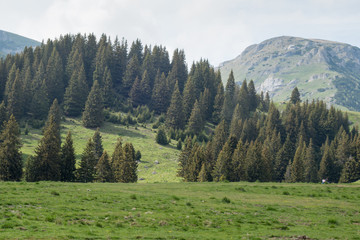 View from Bucegi mountains, Romania, Bucegi National Park