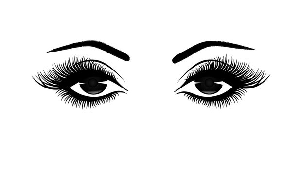 Beautiful woman's eyes close-up, thick long eyelashes, black and white vector illustration