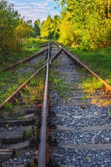 Naklejka premium Landscape view of the old railway tracks in autumn