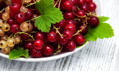 Plate with red currant