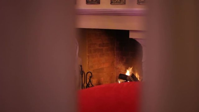 Beautiful fire in the fireplace
