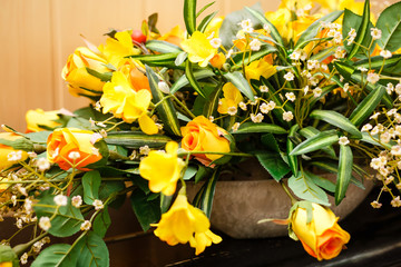 fresh yellow roses in green sunny garden