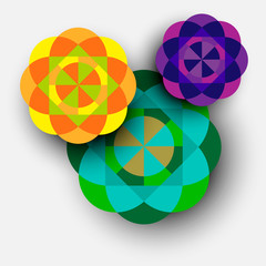 Colorful kaleidoscope flowers