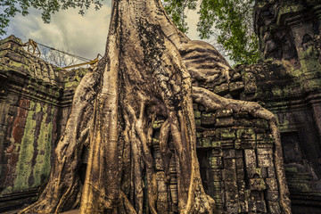 Angkor Wat Cambodia