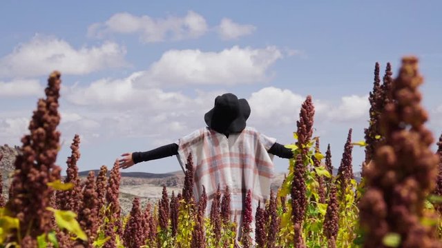 Woman celebrate freedom inside a field of Quinoa, Wanderlust vibe. Slow motion