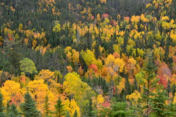 Automne au Quebec La Malbaie