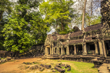 Ancient ruins with overgrown trees at Angkor Wat Cambodia