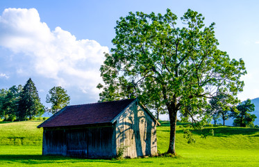 old wooden hut