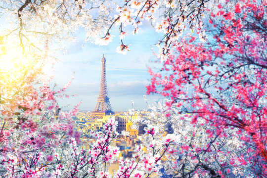 Aerial view of Paris cityscape with Eiffel tower with a blurred frame of blossoming trees at sunset. Vintage colored picture. Business, Love and travel concept