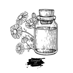 Chamomile essential oil bottle and bunch of flowers hand drawn vector illustration. Isolated drawing for Aromatherapy treatment,