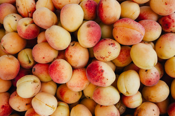 Apricot fruit, ripe, textured close-up.