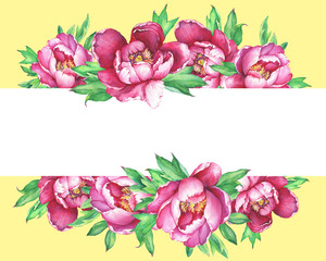 Banner with flowering pink peonies, isolated on yellow background. Watercolor hand drawn painting illustration.