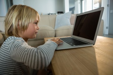 Boy using laptop in the living room