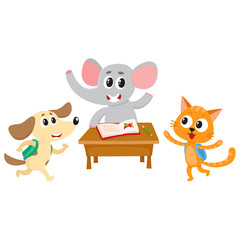 Cute animal students - elephant, cat and dog, back to school concept, cartoon vector illustration isolated on white background. Animal students, elephant at school desk, cat and dog hurrying to class