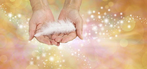 White feathers are the calling cards of Angels - female hands gently holding a fluffy white feather...