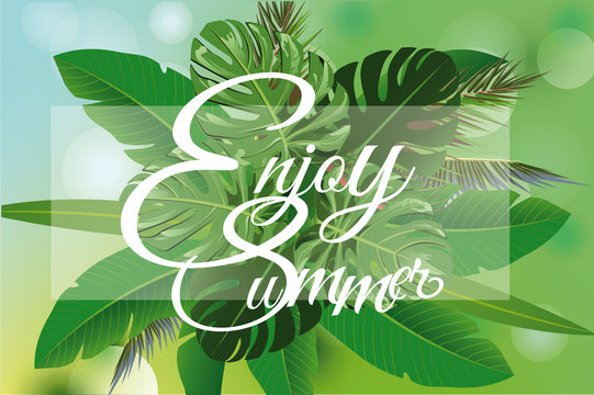 Summer tropical background with palm leaves. Vector illustration design.