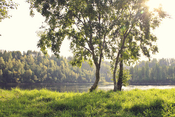 Summer lake landscape with beautiful water, lots of green vegetation and sunlight. - 163012539