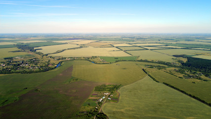 View from height to green fields with wheat in Russia