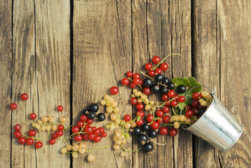 Black, red and white currant berries in metal mini bucket on a wooden background.