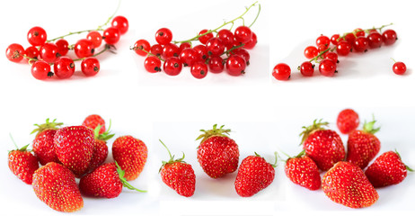Fototapeta na wymiar Set of ripe red berries